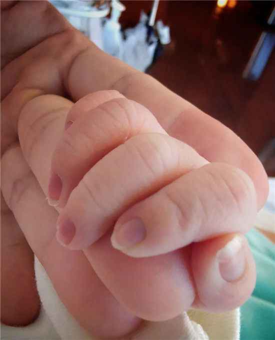 1574235234111918.jpg 蔡少芬三胎平安产子 又是幸福的一家人!