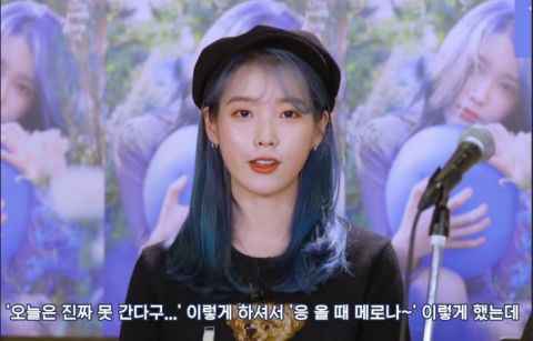 「这对至亲姊妹真的太可爱」超教材气的刘寅娜现身IU所有演唱会！