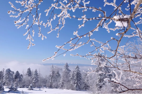 时事热点:QQ音乐开放平台音乐人永彬Ryan.B：方寸世界的“折腾”人生