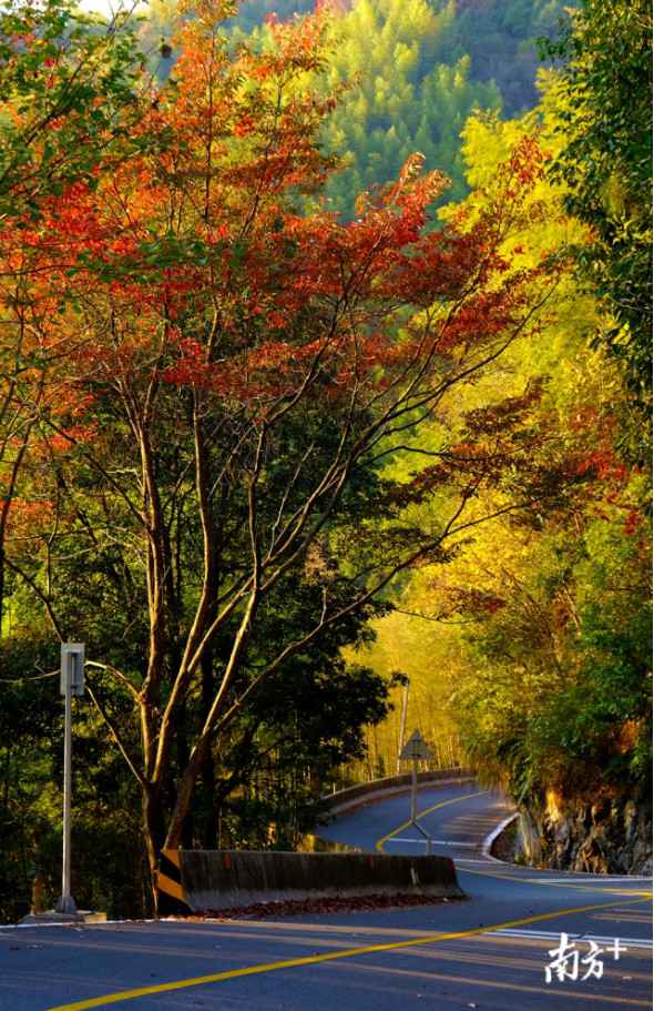 时事热点:大自然“打翻”了颜料盘!韶关始兴这座山头五彩斑斓