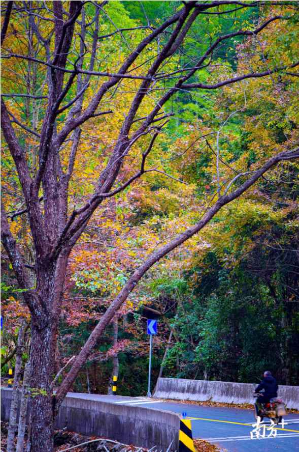 时事热点:大自然“打翻”了颜料盘!韶关始兴这座山头五彩斑斓