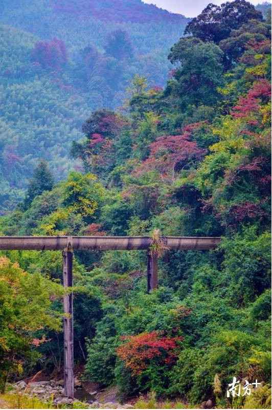 时事热点:大自然“打翻”了颜料盘!韶关始兴这座山头五彩斑斓