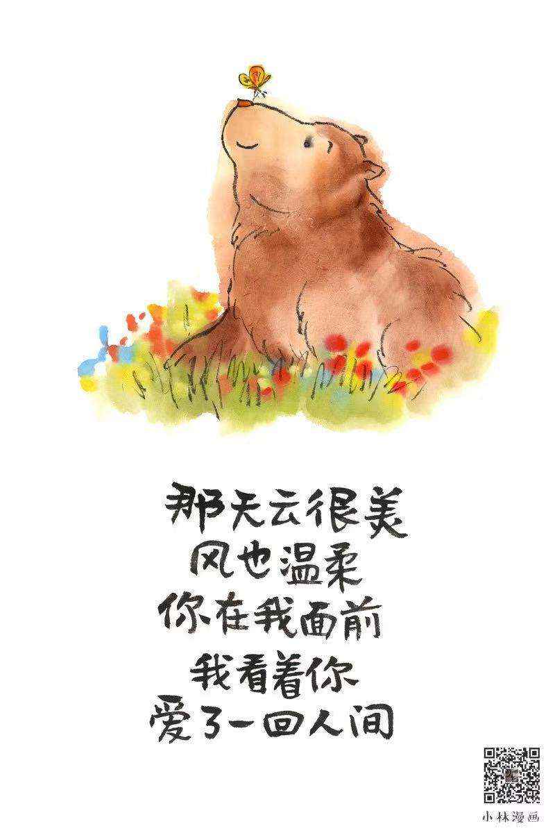 【“超”访】小林漫画:人间治愈术