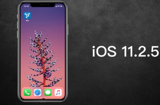 苹果封锁iOS 11/11.2.1/11.2.2验证通道 11.2.5是独一选择