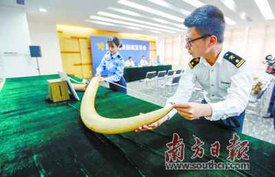 “雷电”动作查获440根象牙
