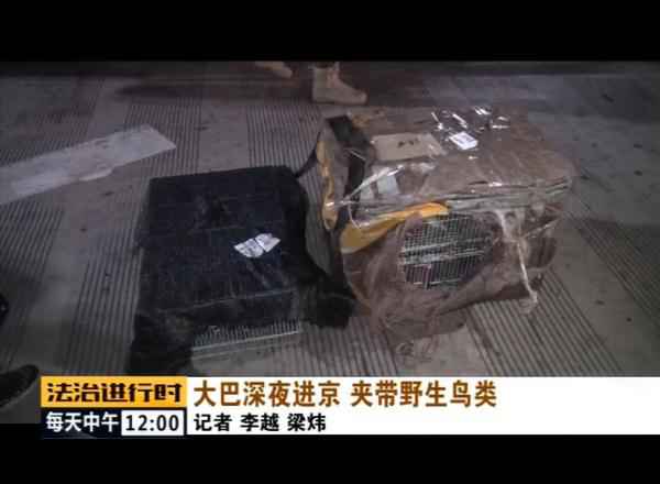  北京森林公安成功解救数百只野生候鸟！