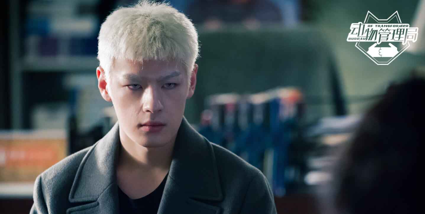 《动物打点局》开播 谭泉银发造型现身很帅气