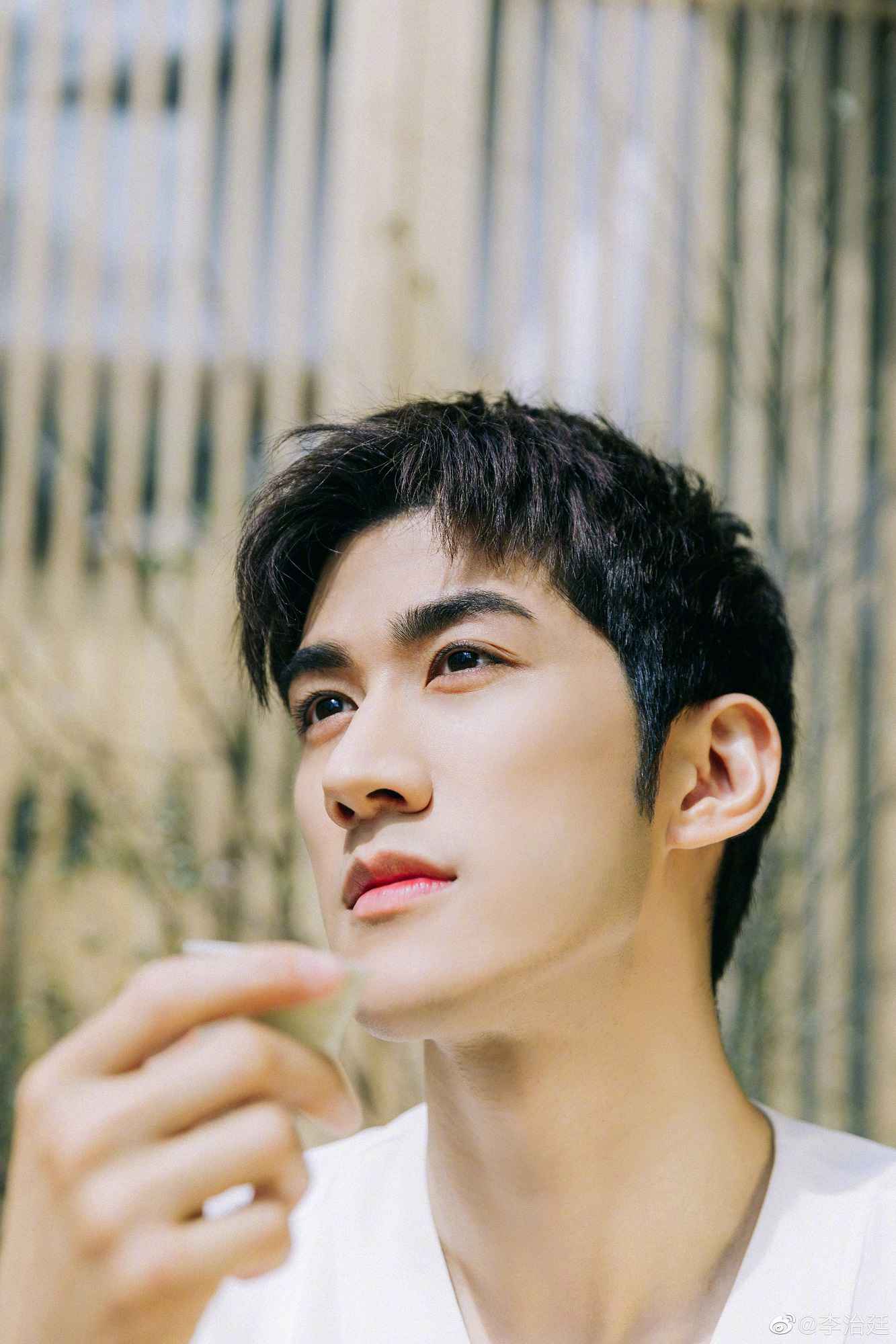 《鹤发》三大主演将录制《快本》 网友：这波收视稳了