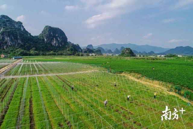 清远:创新六大机制 助推脱贫攻坚