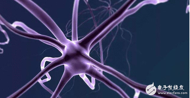 科学家研发出全新无透镜相机 可监测移动物体的神经元活动