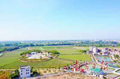 茂名高州类型晋升农夫相助社质量