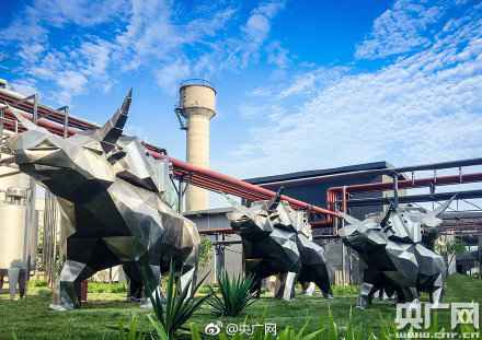  老牛奶厂“变身”创新工厂，北京向阳区藏着一处“网红”打卡地