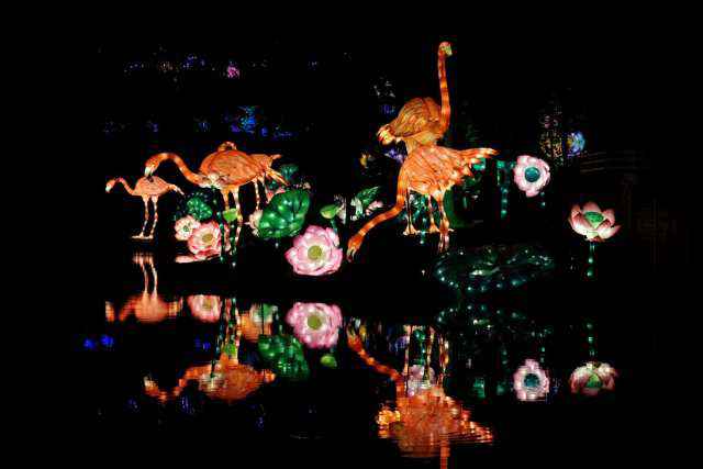 云台花圃2018中秋灯会正式亮灯！这场“粤”色灯展不行错过