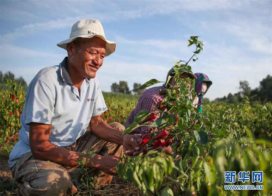 总书记眷注高质量生长|翻过“贫困”山，通向“幸福”站——脱贫攻坚“毁灭战”里的小故事