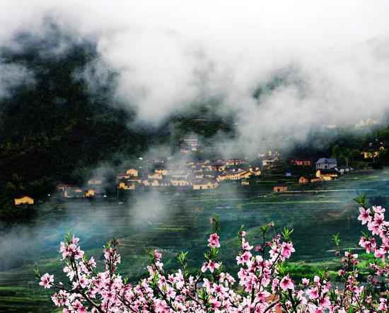 70年成长回眸：改良“楷模生”浙江何故先行先试？