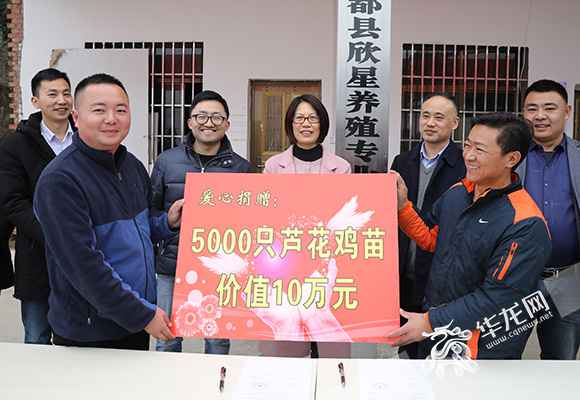 “在世”后续|熊勇获丰都芦花鸡独家署理权 誓要活出生命出色