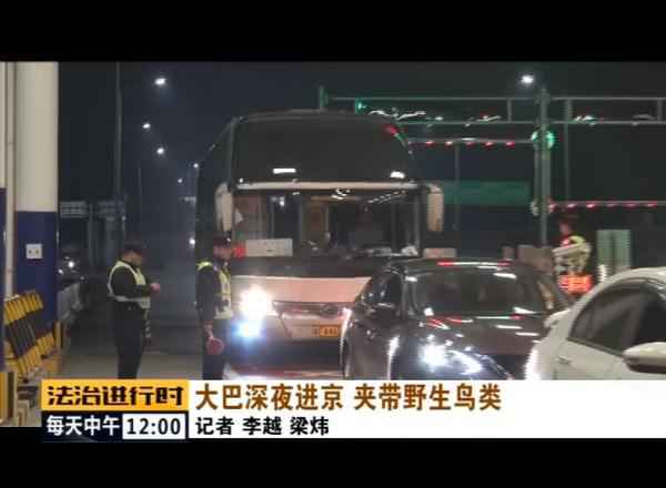 北京丛林公安乐成补救数百只野生候鸟! 北京丛林公安乐成补救数百只野生候鸟!