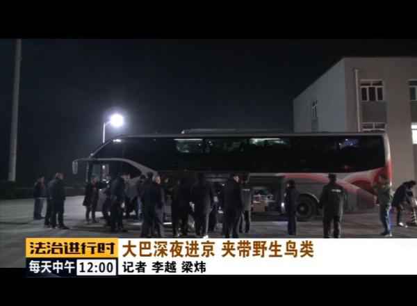 北京丛林公安乐成补救数百只野生候鸟! 北京丛林公安乐成补救数百只野生候鸟!