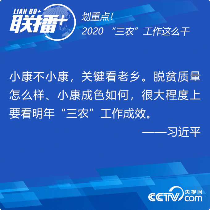 划重点！2020“三农”工作这么干