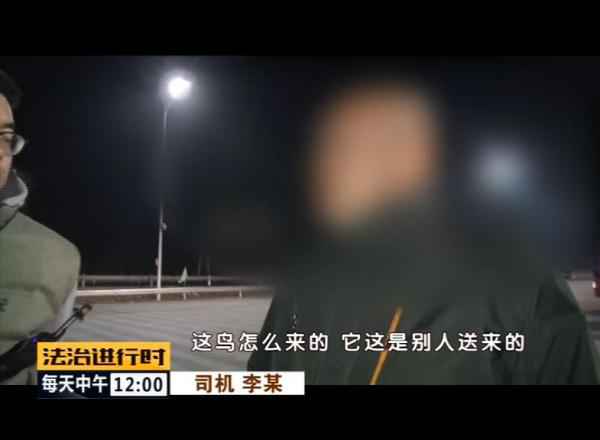 北京丛林公安乐成补救数百只野生候鸟! 北京丛林公安乐成补救数百只野生候鸟!