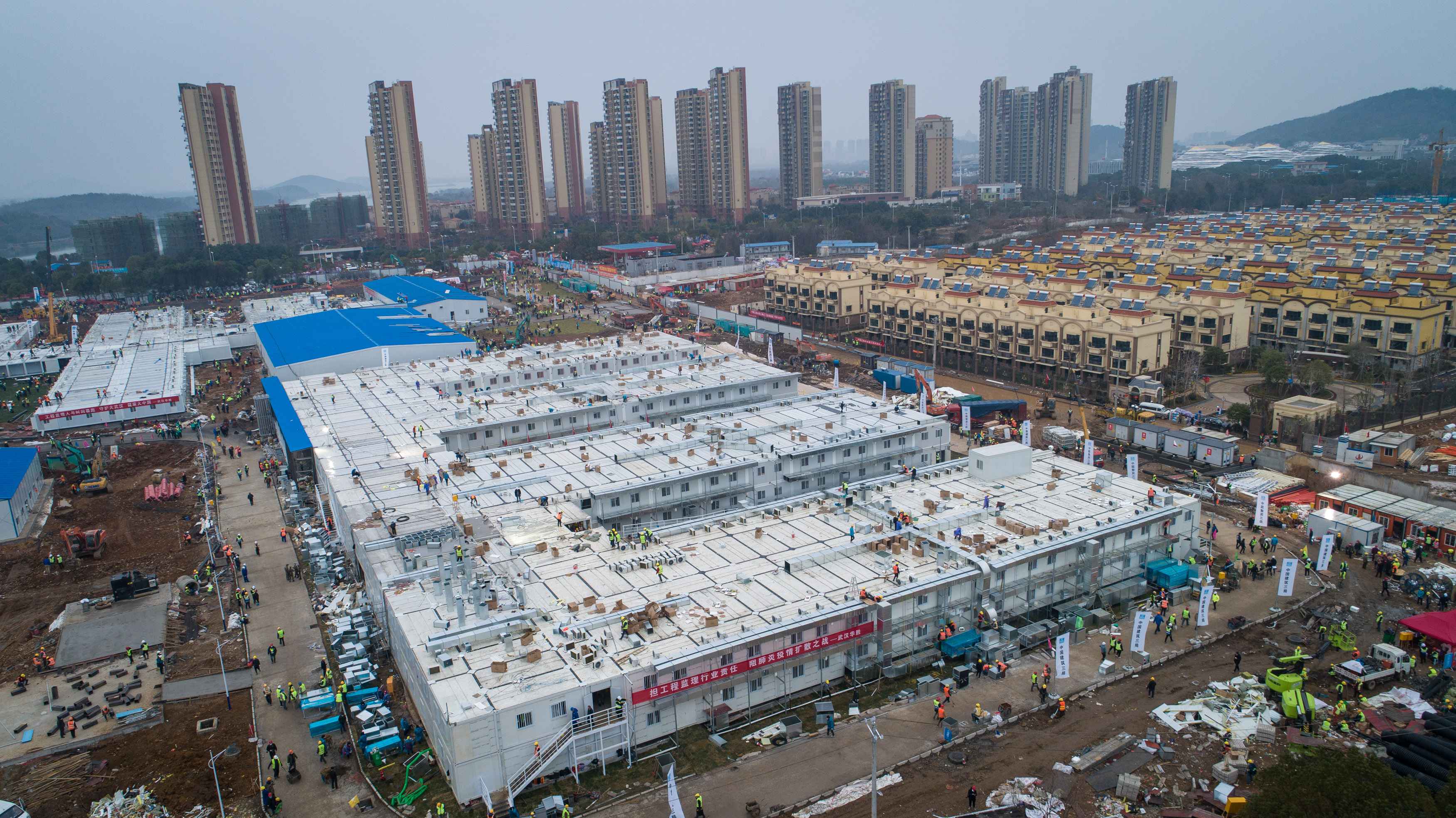 全民防控 众志成城| 今天立春：没有一个春天不会到来