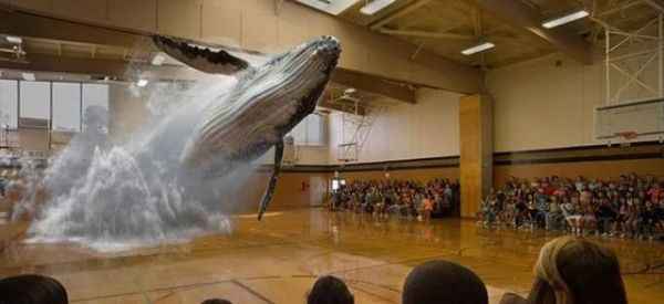  阿里收购以色列一家AR初创公司