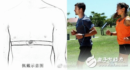 24h庇护你的贴心管家 荣耀手环3“大战”专业级心率带：心率监测谁更专业