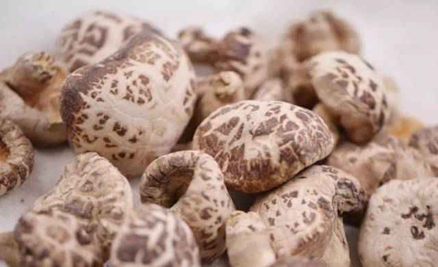 粤菜师傅SHOW·大家课|花菇也能登上家宴C位？南粤厨王放大招了！