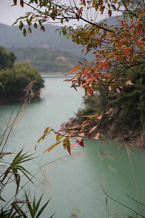 多图 | 山明水秀，叠彩锋岭——深度体验穿越广清徒步线路