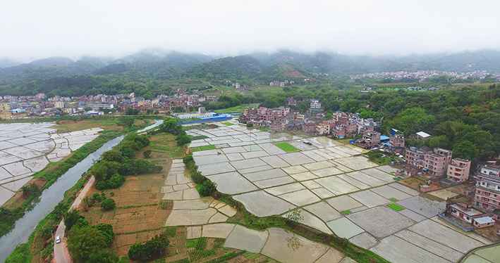 【村子振兴】春雨润春耕！云浮罗定随处是忙碌的“春耕图”
