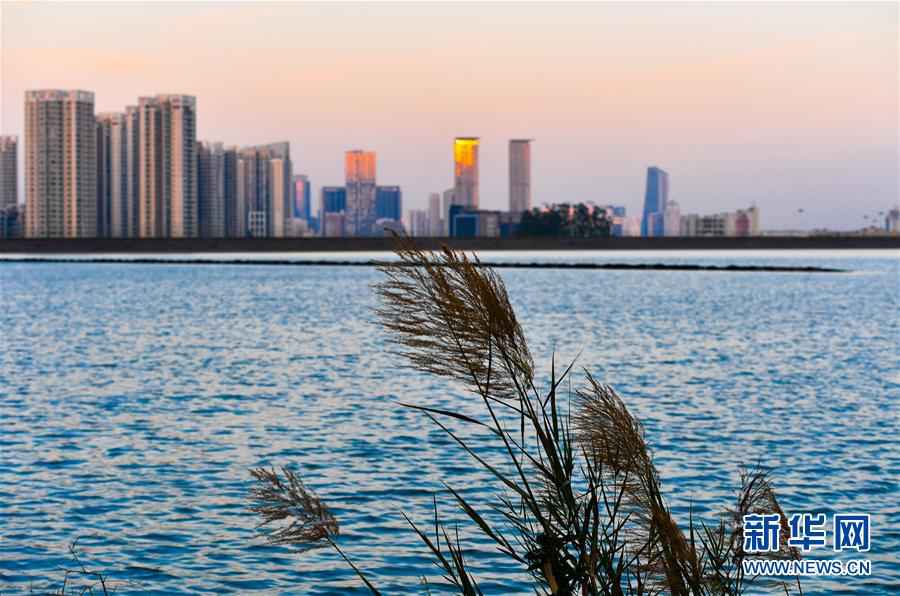 千里清流润濠江——广东对澳门供水保障纪实