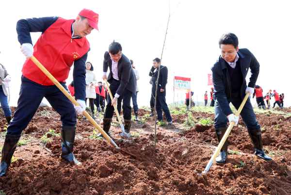 共青团安徽省委开展直属构造党员勾当日暨义务植树勾当