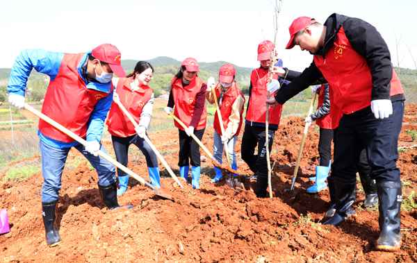 共青团安徽省委开展直属构造党员勾当日暨义务植树勾当