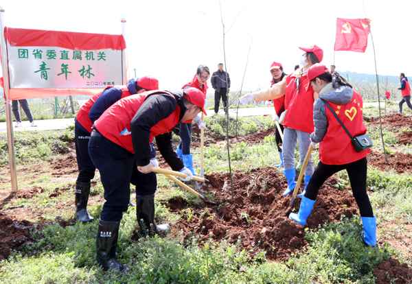 共青团安徽省委开展直属构造党员勾当日暨义务植树勾当