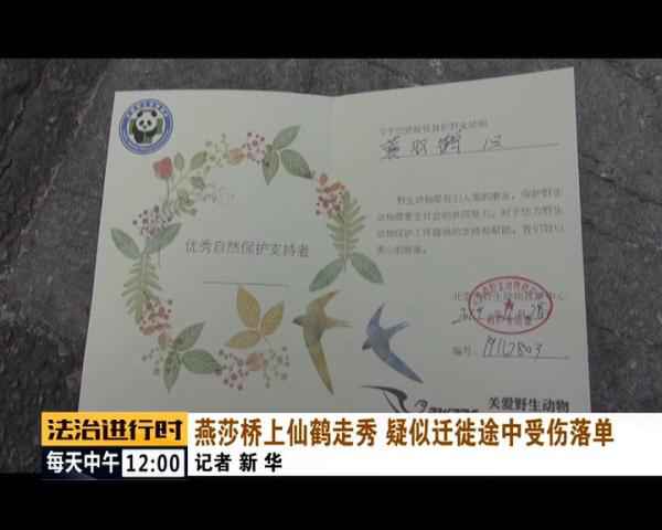 聚焦 | 现实版《老炮儿》!北京陌头惊现“仙鹤”! 聚焦 | 现实版《老炮儿》!北京陌头惊现“仙鹤”!