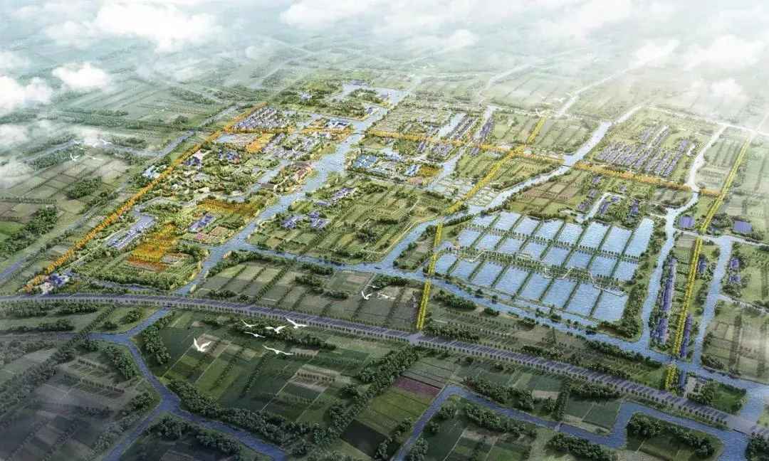 上海漕泾郊外公园范畴及筹划亮点