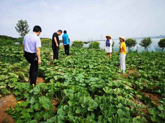 粤菜师傅SHOW·大家课|这道菜低脂营养又鲜味,三步秒会!