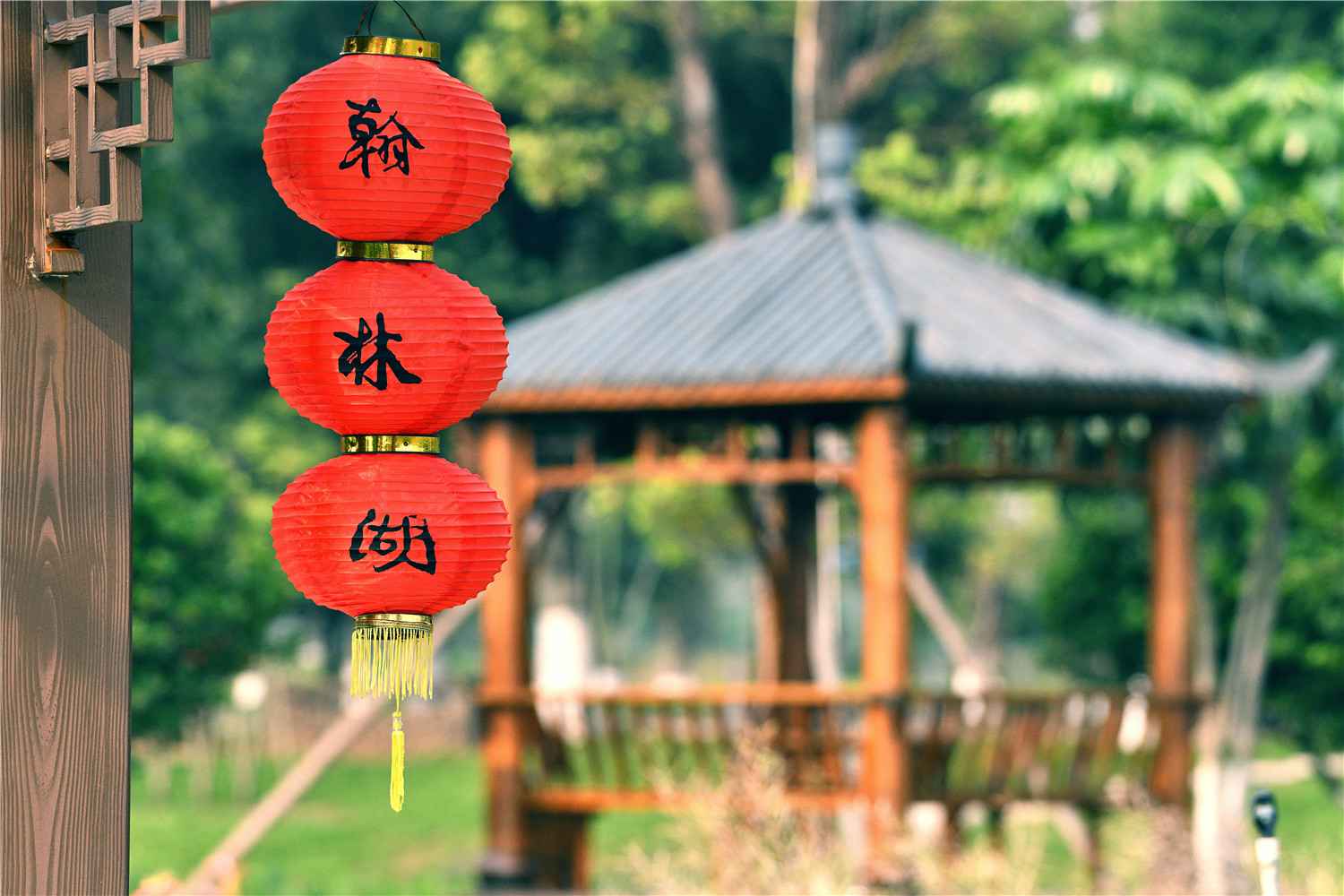 【大美广东】佛山翰林湖：蜂飞蝶舞 燕剪莺歌