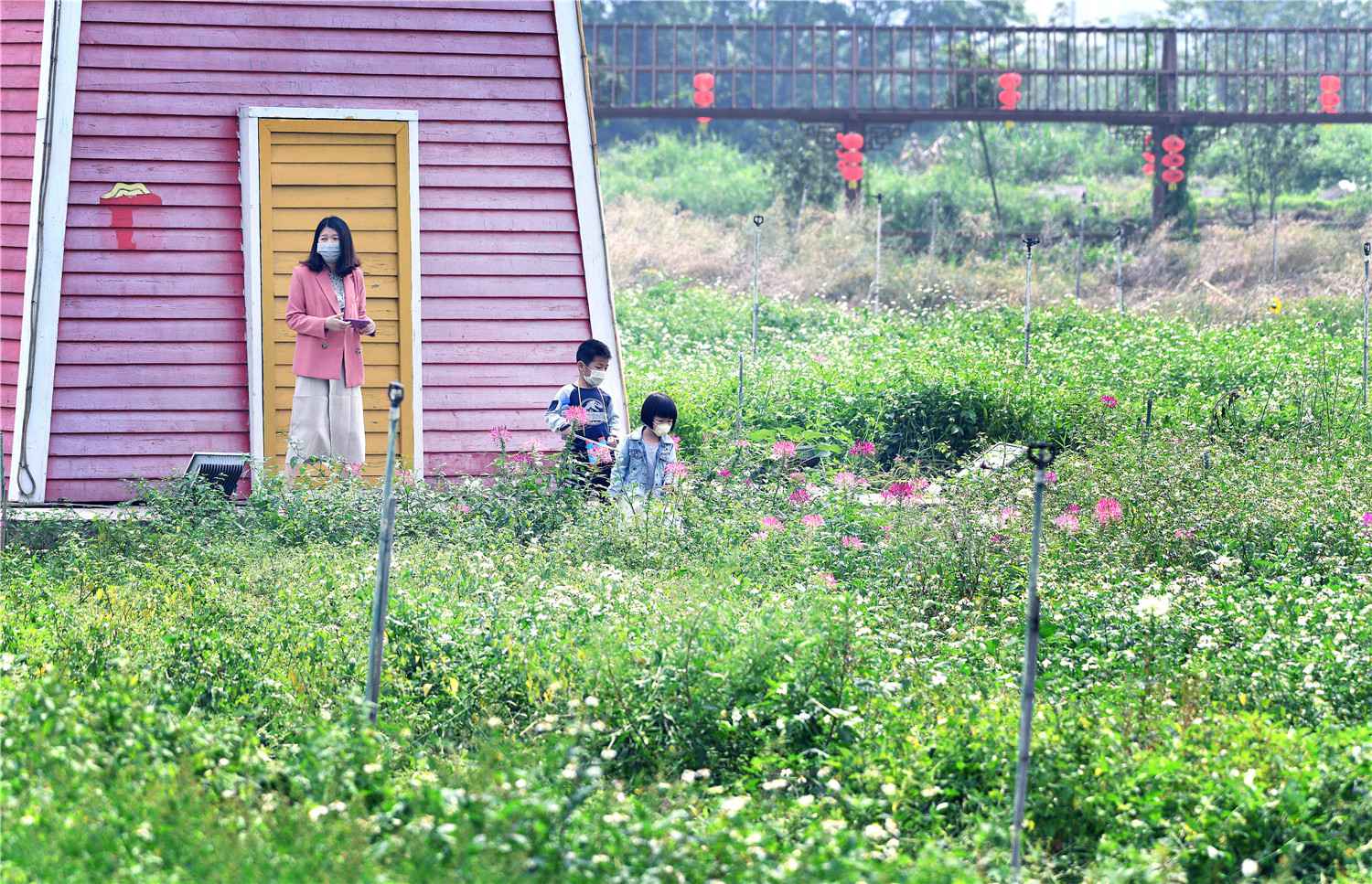 【大美广东】佛山翰林湖：蜂飞蝶舞 燕剪莺歌