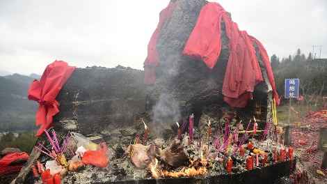 “中国最美小鸟”现身大别山