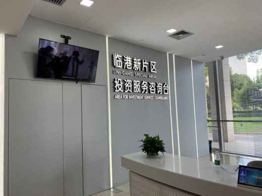 临港新片区行政处事中心正式启用