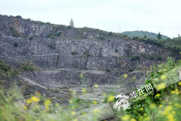 视频|2.5亿年前重庆这里是片海 地球日一起寻找山城地质奥秘