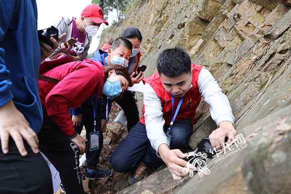 视频|2.5亿年前重庆这里是片海 地球日一起寻找山城地质奥秘