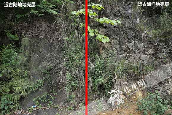 视频|2.5亿年前重庆这里是片海 地球日一起寻找山城地质奥秘