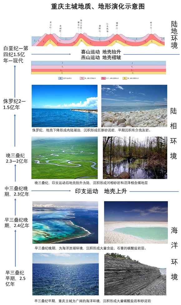 视频|2.5亿年前重庆这里是片海 地球日一起寻找山城地质奥秘