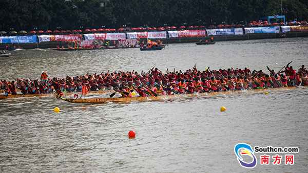 多图 | 本日珠江太热闹！124条龙舟逐浪比拼