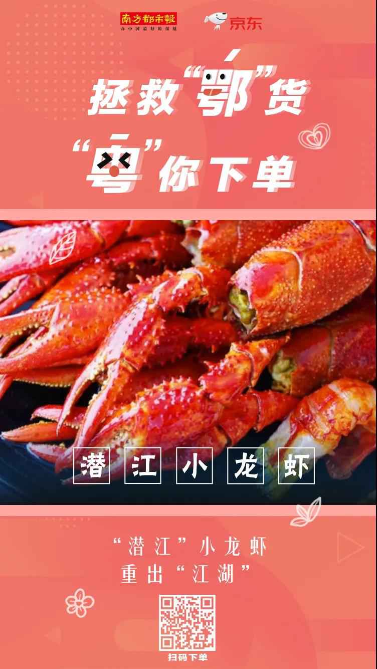 湖北小龙虾滞销？！我大广东吃货不答允！