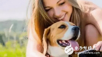 爱宠福音 智能穿着将逐渐走向衰落，宠物智能穿着却异军突起