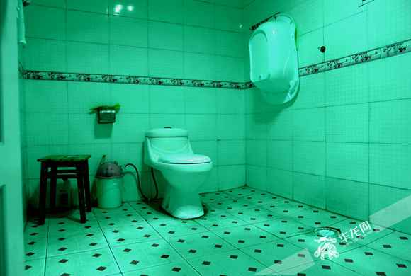 视频|重庆累计改建农村户厕2.45万户 将开展第三方质量观测