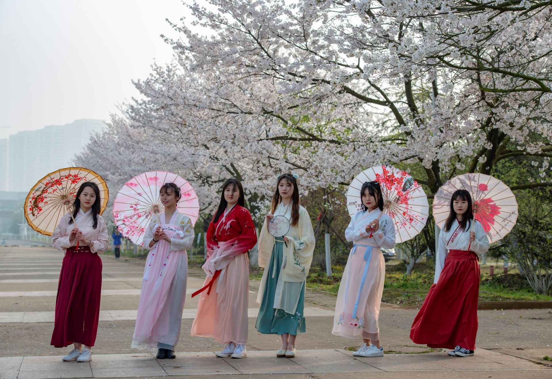 青岛金滩银浪绿海交相辉映 绮丽浪漫令人沉醉